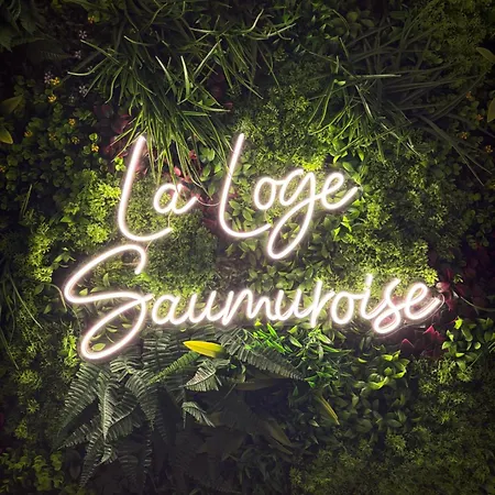 La Loge Saumuroise - Centre-Ville & Local Velo Exterior photo